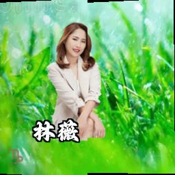 林薇
